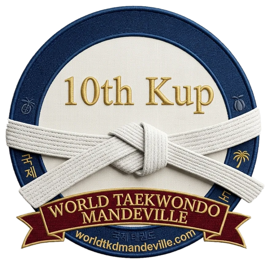 White Belt (10th Kup) rank patch
