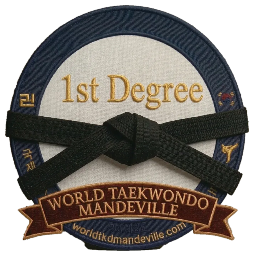 1st Degree Black Belt (1st Dan) rank patch