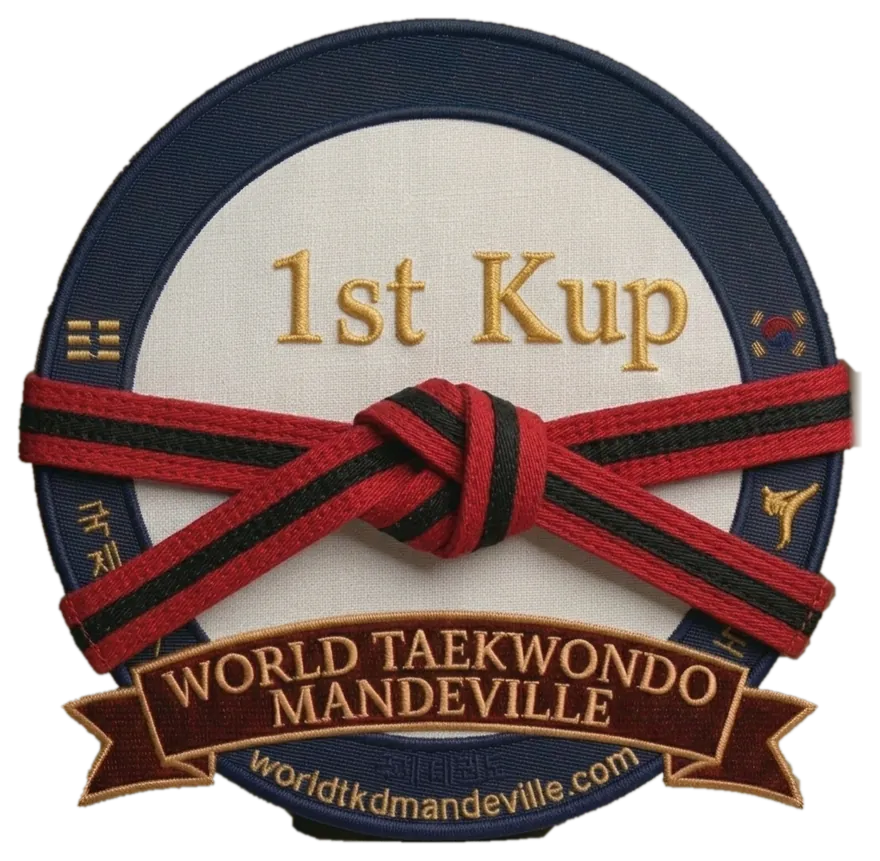 Black Stripe (1st Kup) rank patch