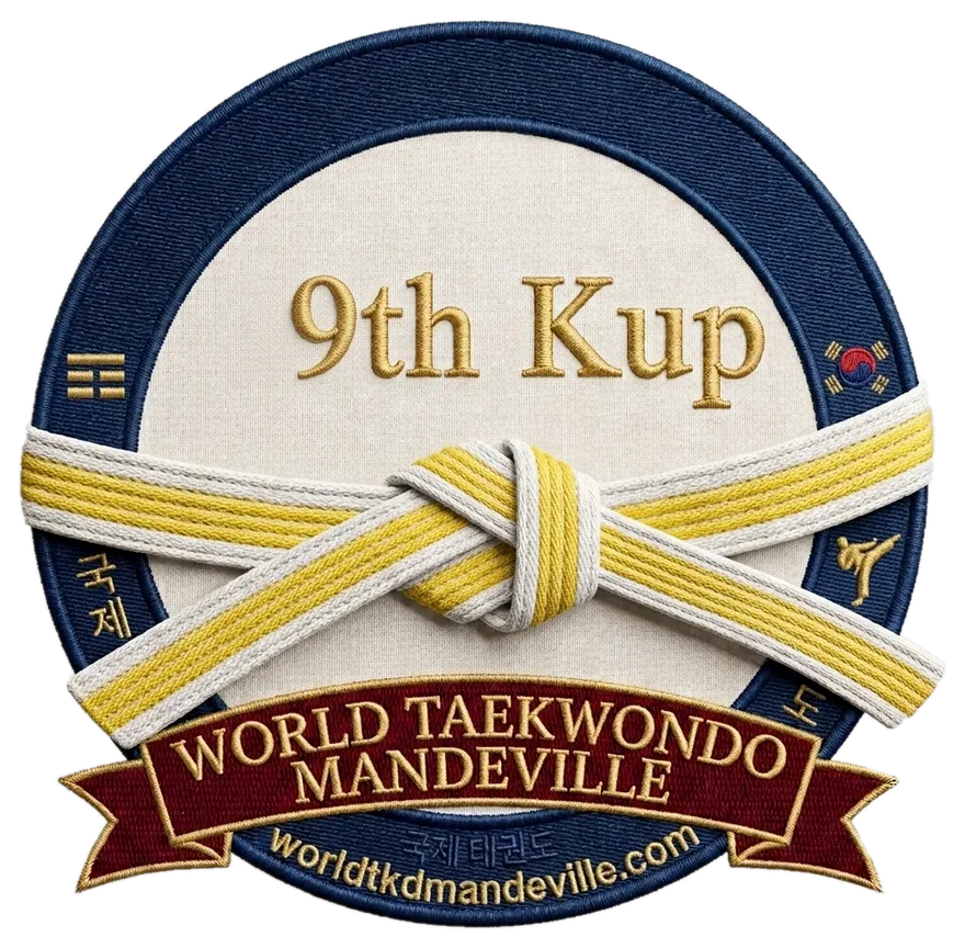 Yellow-Stripe (9th Kup) rank patch