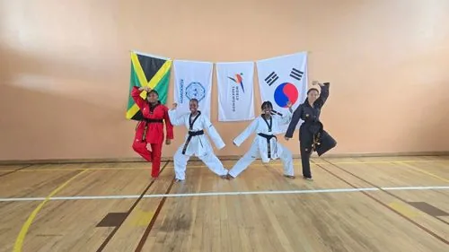 World Taekwondo Mandeville — photo 8