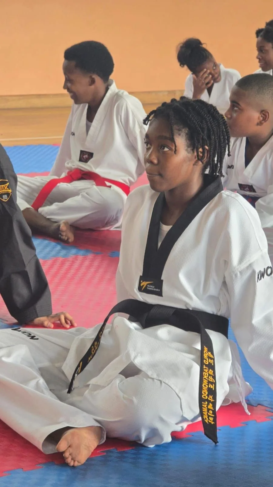 World Taekwondo Mandeville