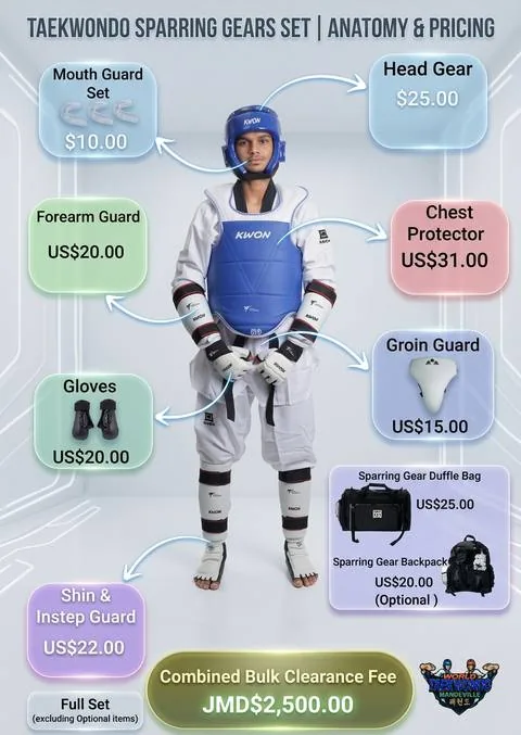 Taekwondo Sparring Gear Anatomy & Pricing